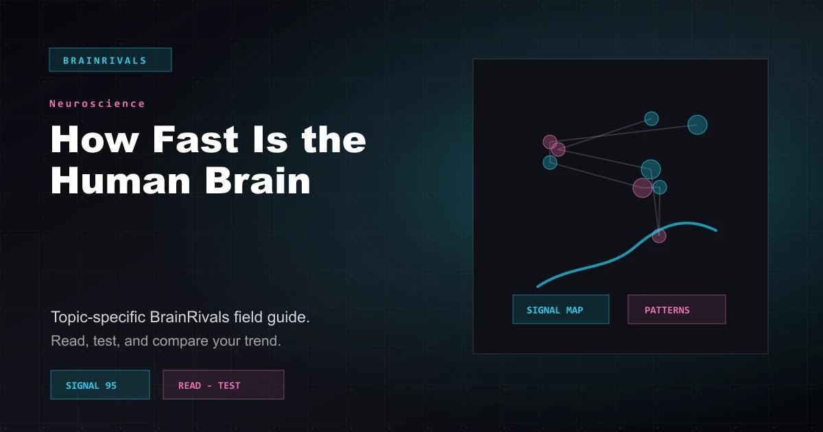 How Fast Is the Human Brain neuroscience article illustration
